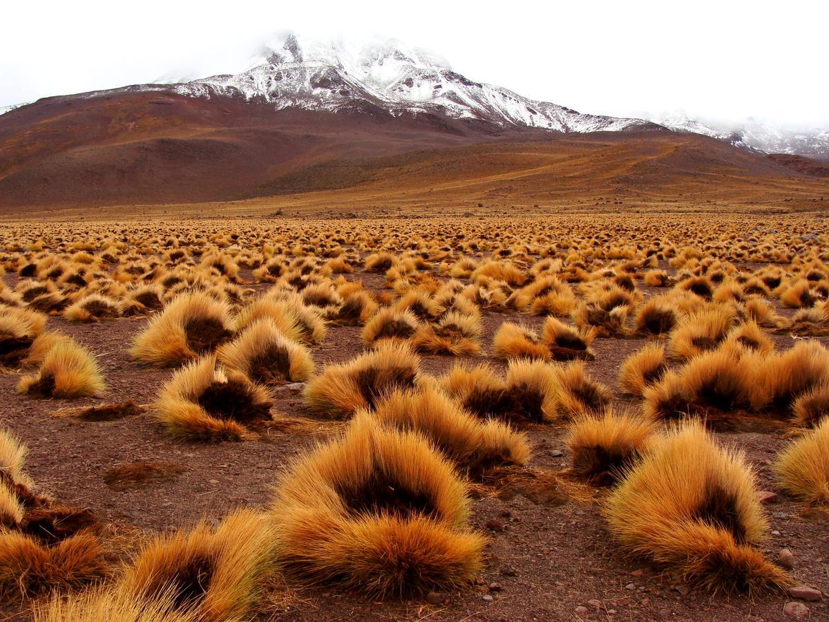 Hotel Maray Copiapó Exteriör bild